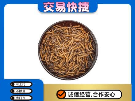 邵阳礼品回收虫草.jpg
